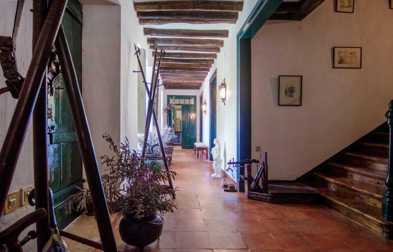 Affittacamere Quinta Do Tojal Ferreira do Zêzere Esterno foto